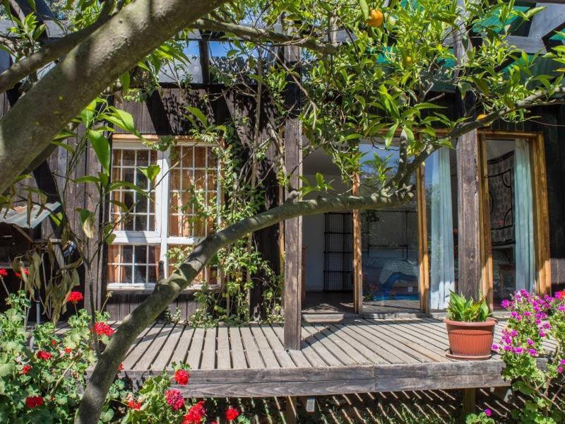 Casa Campo Lindo Olmué Dış mekan fotoğraf